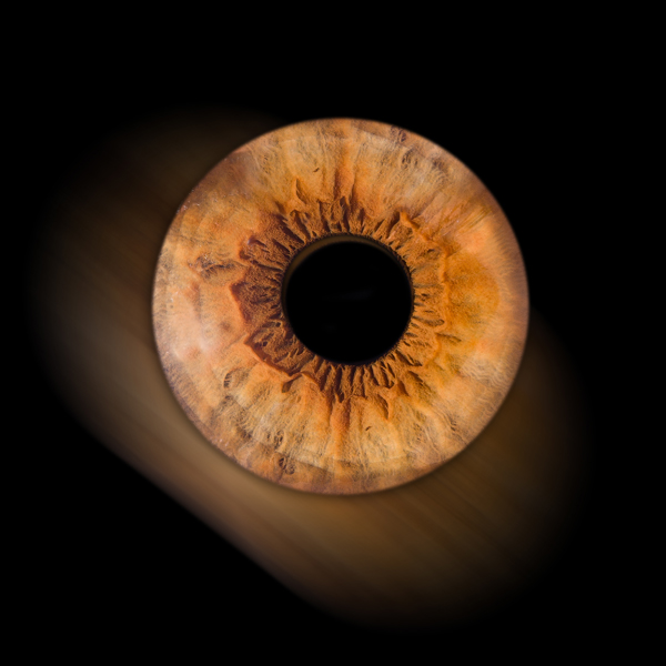 photo d'iris près de Liège