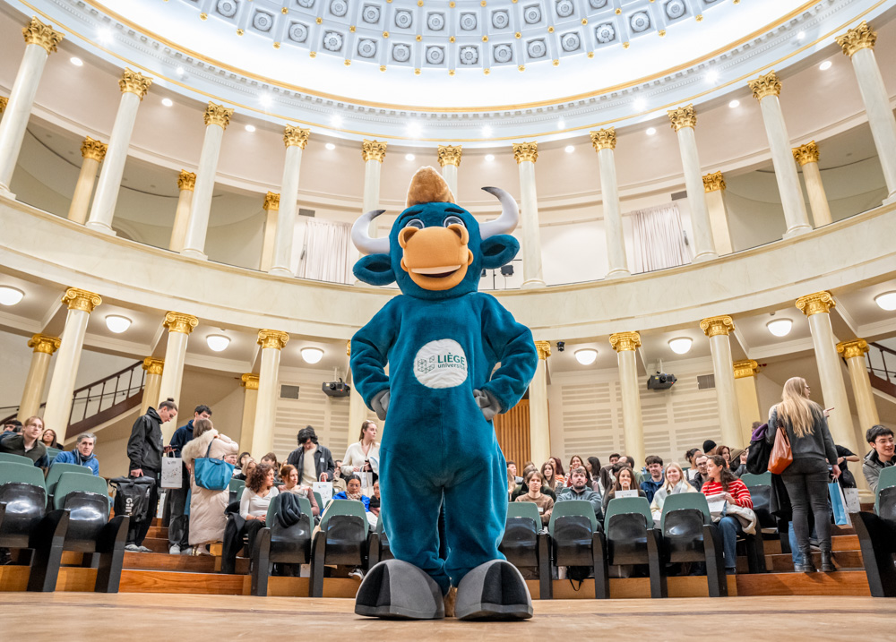 erasmus université de liège